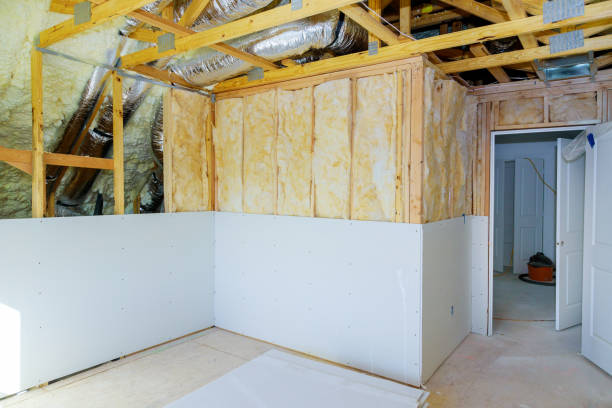 Best Insulation Installation Services in Pquemine, LA