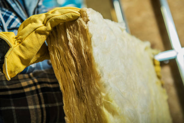 Best Specialty Insulation in Pquemine, LA