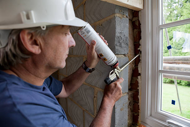 Best Insulation Maintenance and Repair in Pquemine, LA