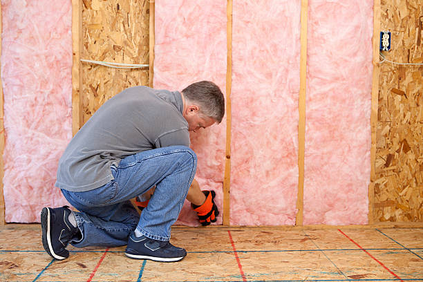 Best Commercial Insulation in Pquemine, LA