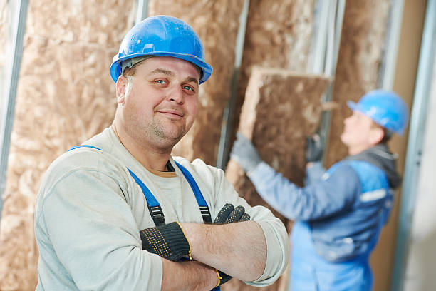 Best Residential Insulation in Pquemine, LA