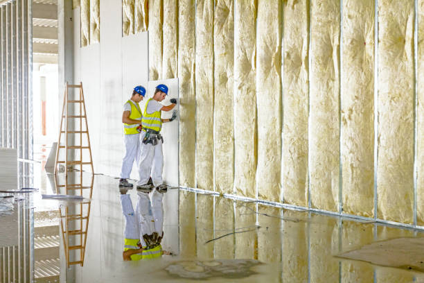 Best Insulation Installation Services in Pquemine, LA